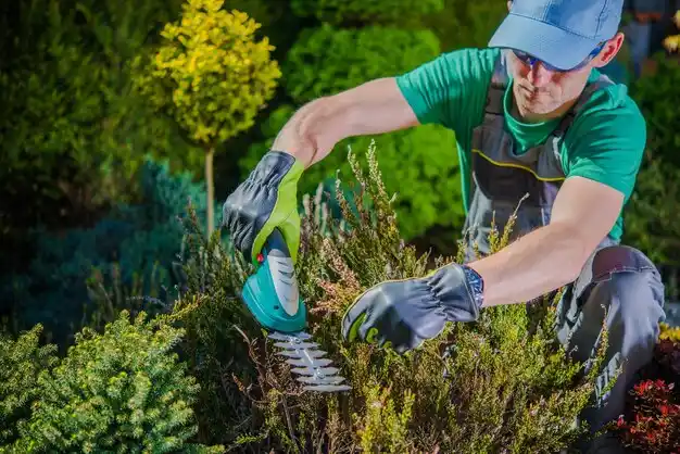 landscaping services Hawesville